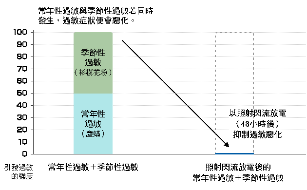 引發過敏的強度比較 | 常年性過敏＋季節性過敏、照射閃流放電後的常年性過敏＋季節性過敏